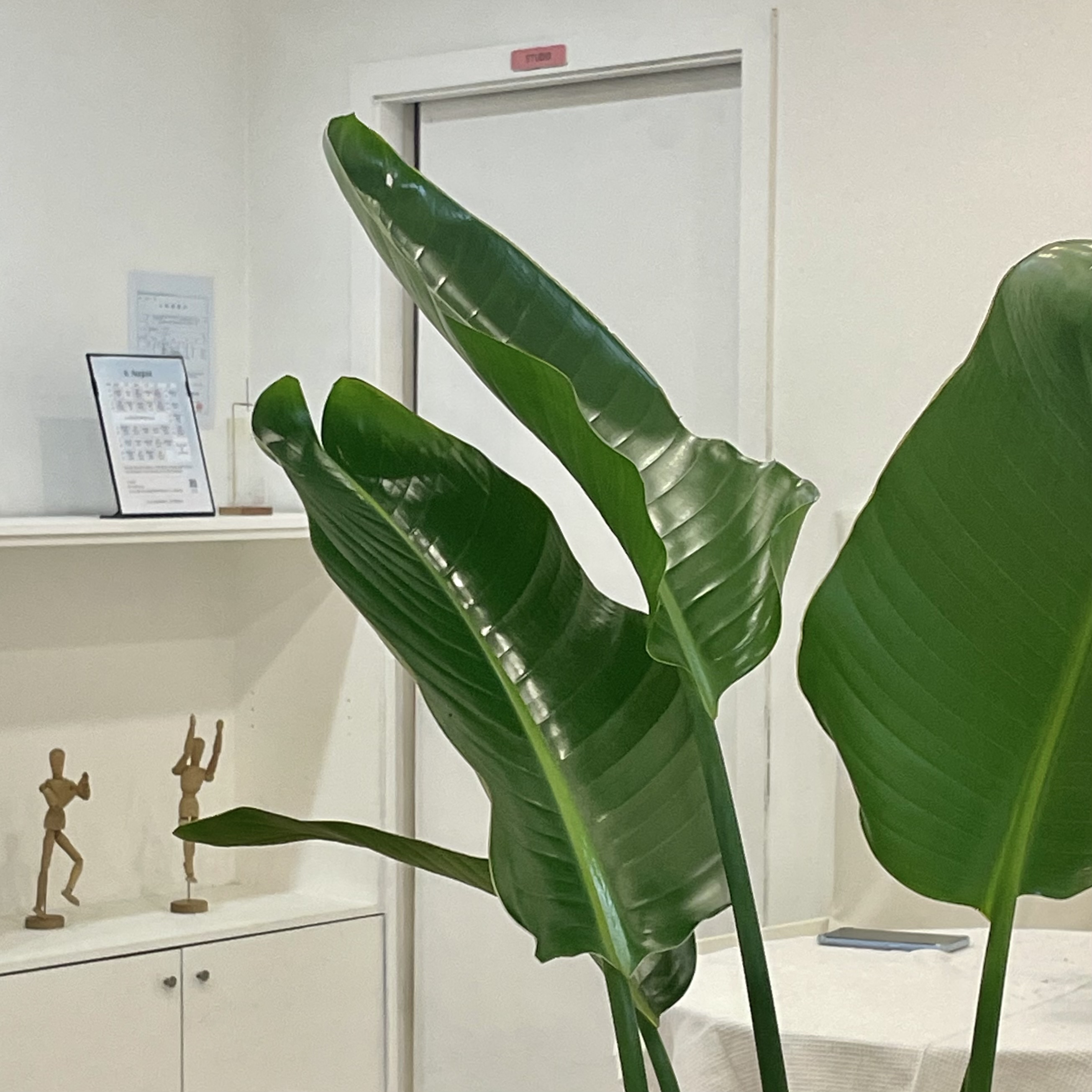 에쏘르 번지요가 대표 이미지