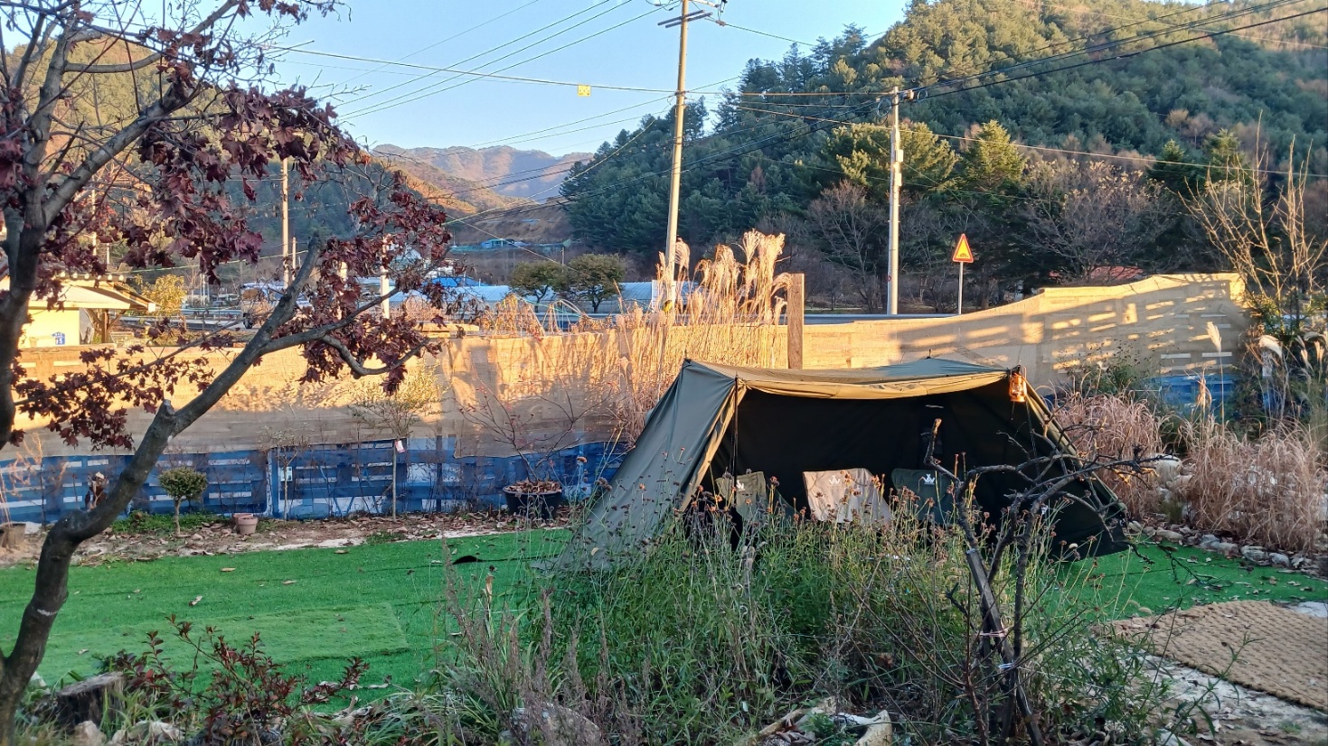 모르모란도 대표 이미지