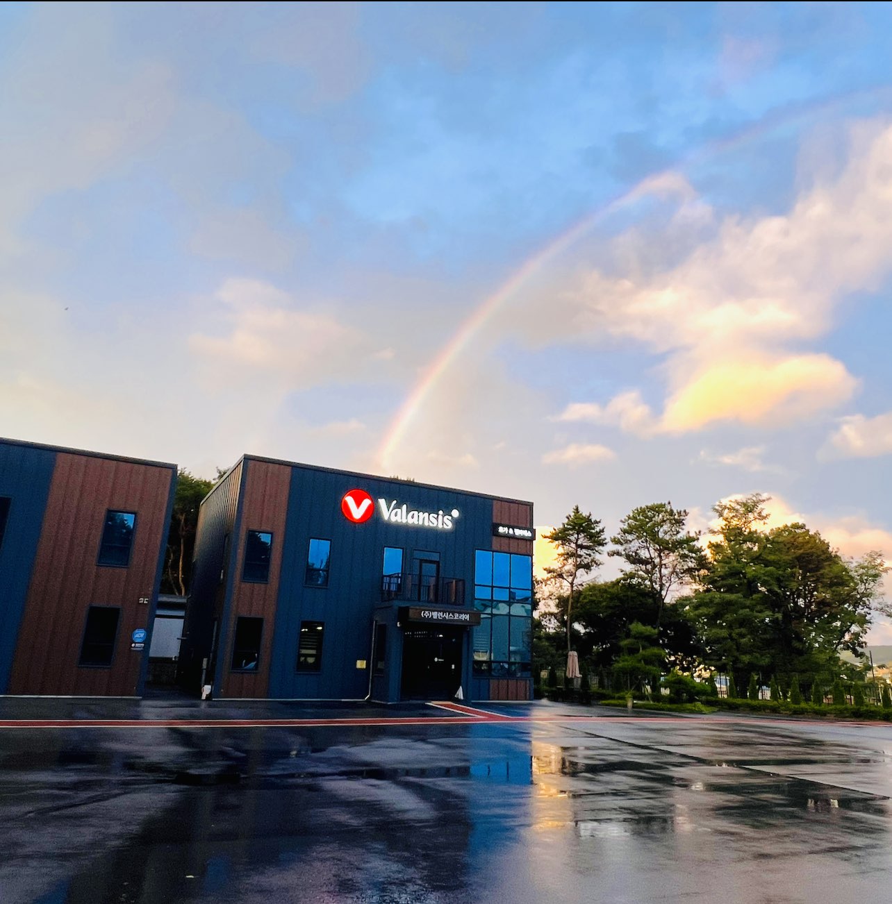 밸런시스코리아 이미지