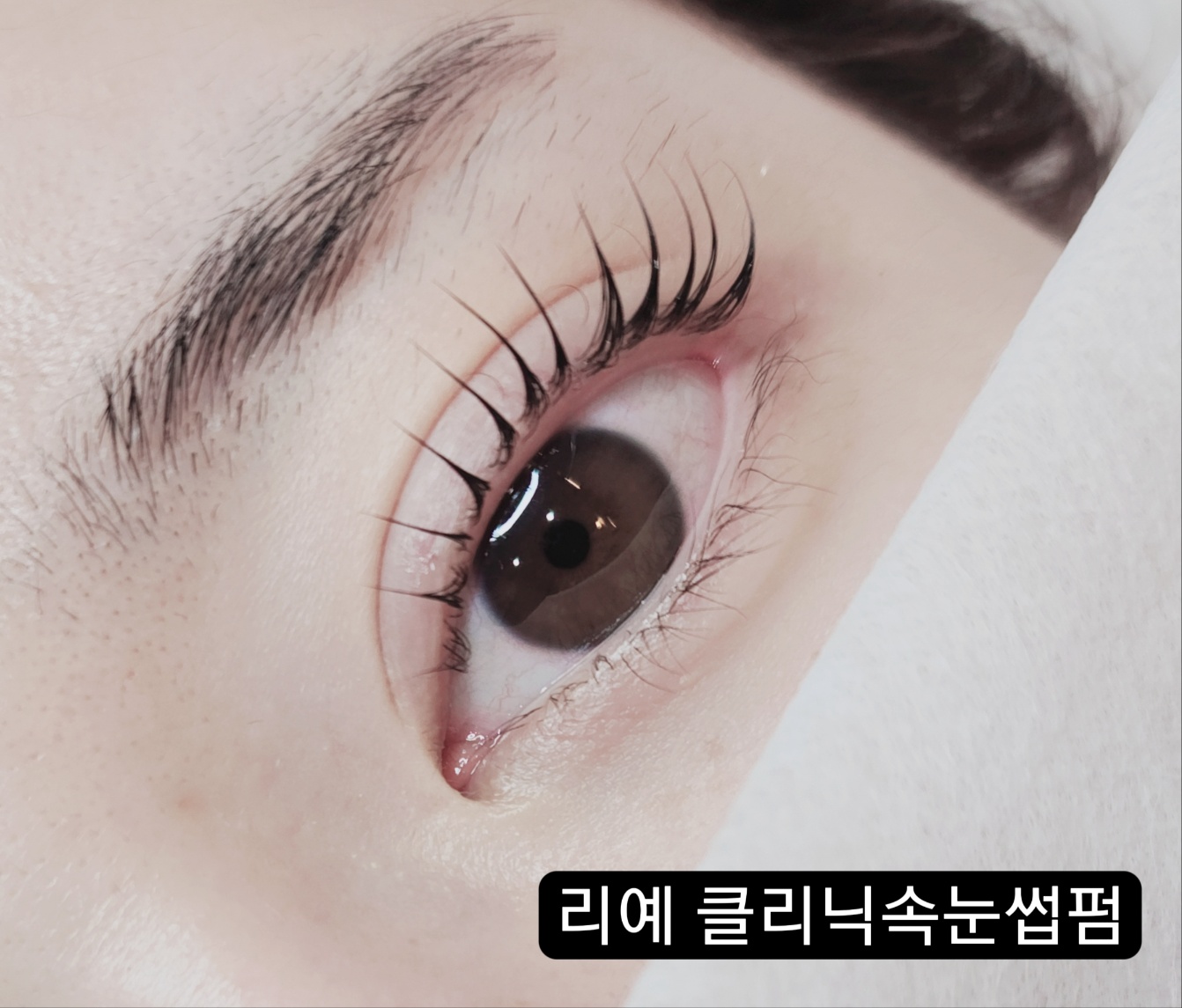 리예 속눈썹펌&눈썹&자연눈썹