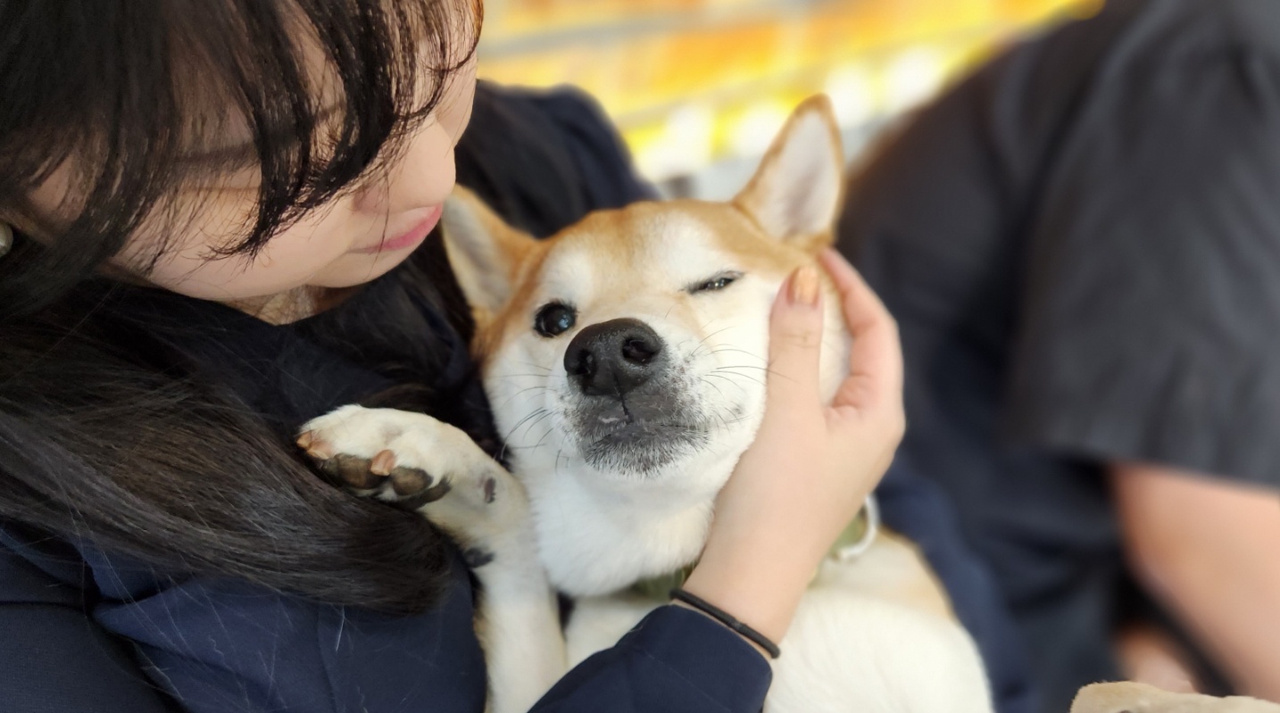 바우라움 강아지유치원&호텔 메인캠퍼스 대표 이미지