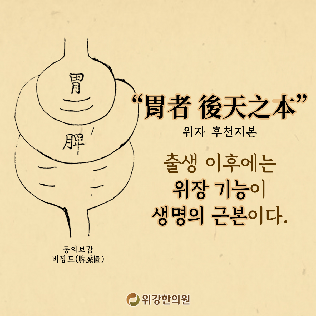 위강한의원 분당본점
