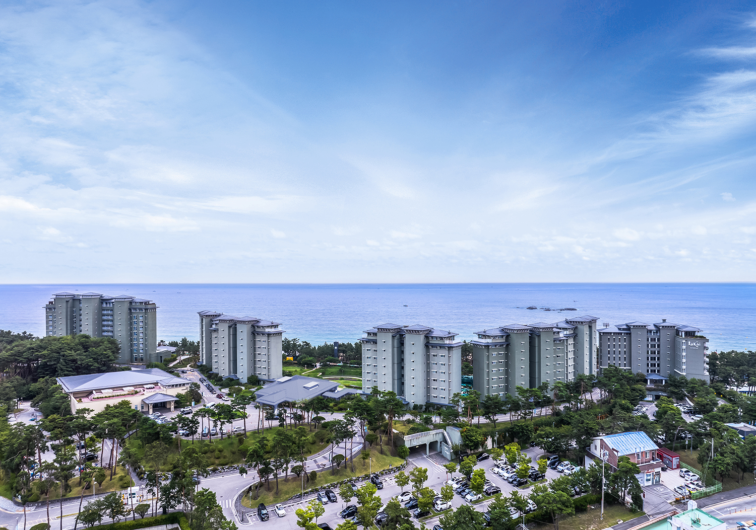 라카이 샌드파인