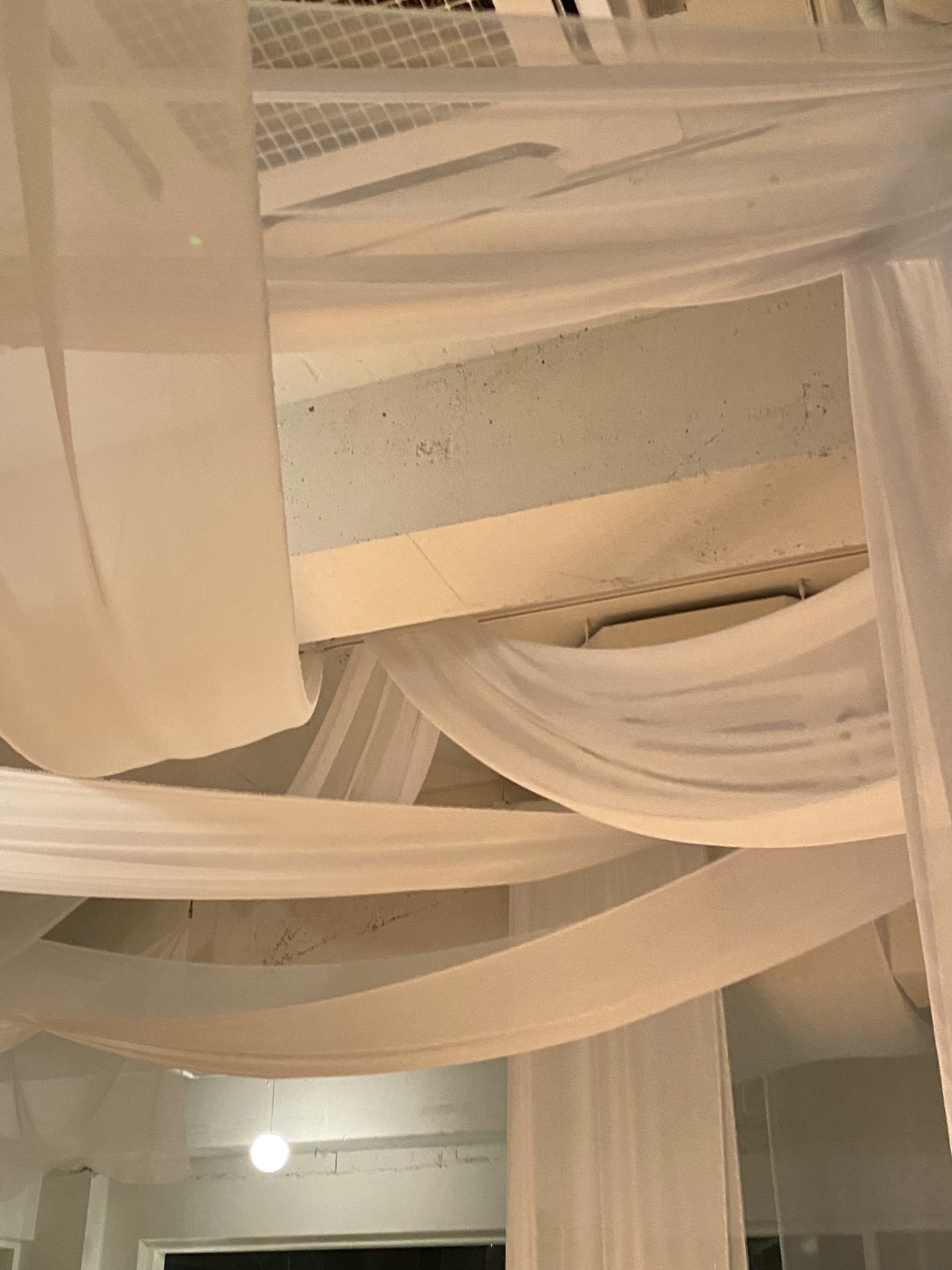 리보아르 대표 이미지