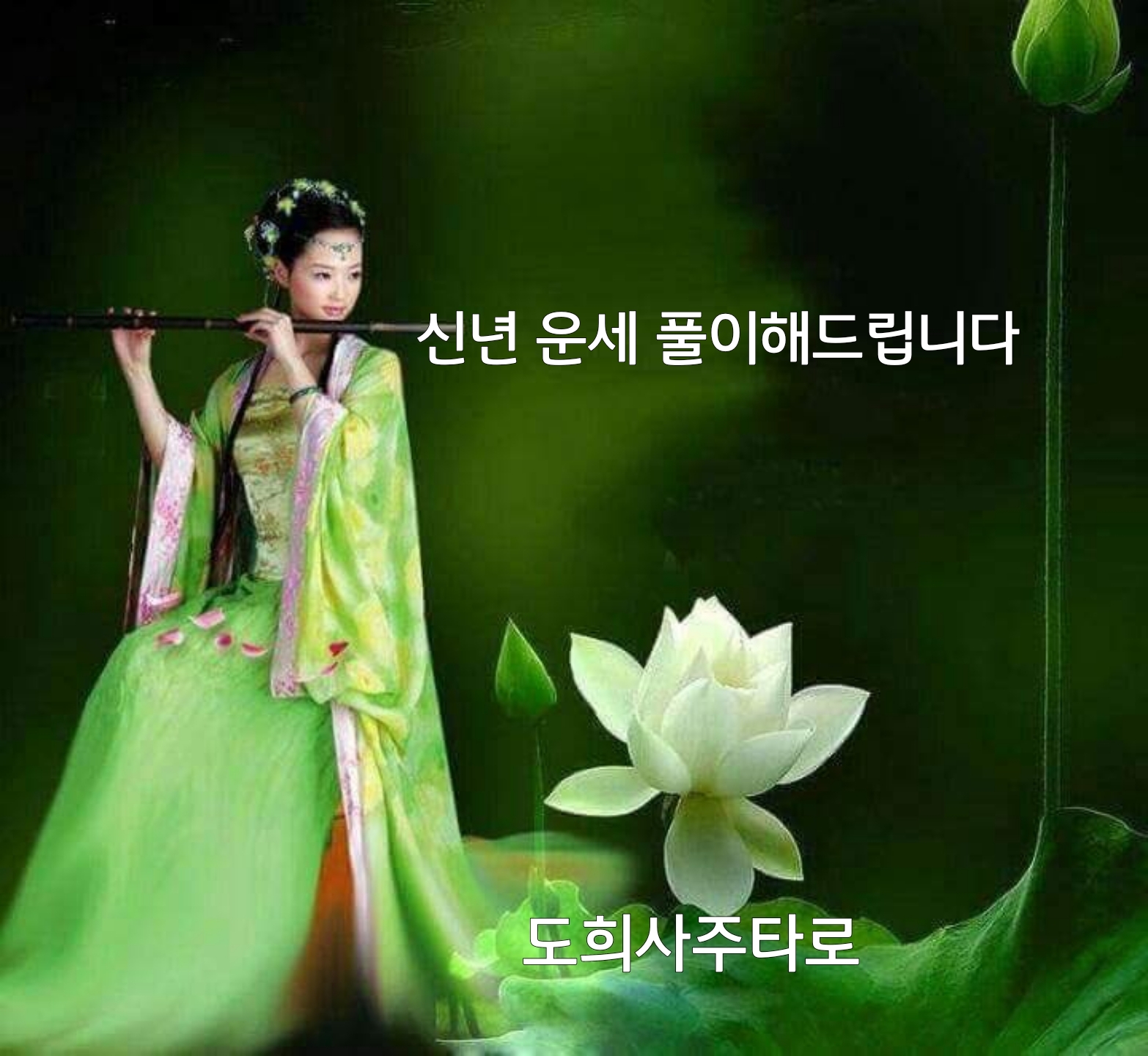도희사주타로
