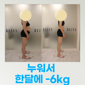 블리스다이어트 ems