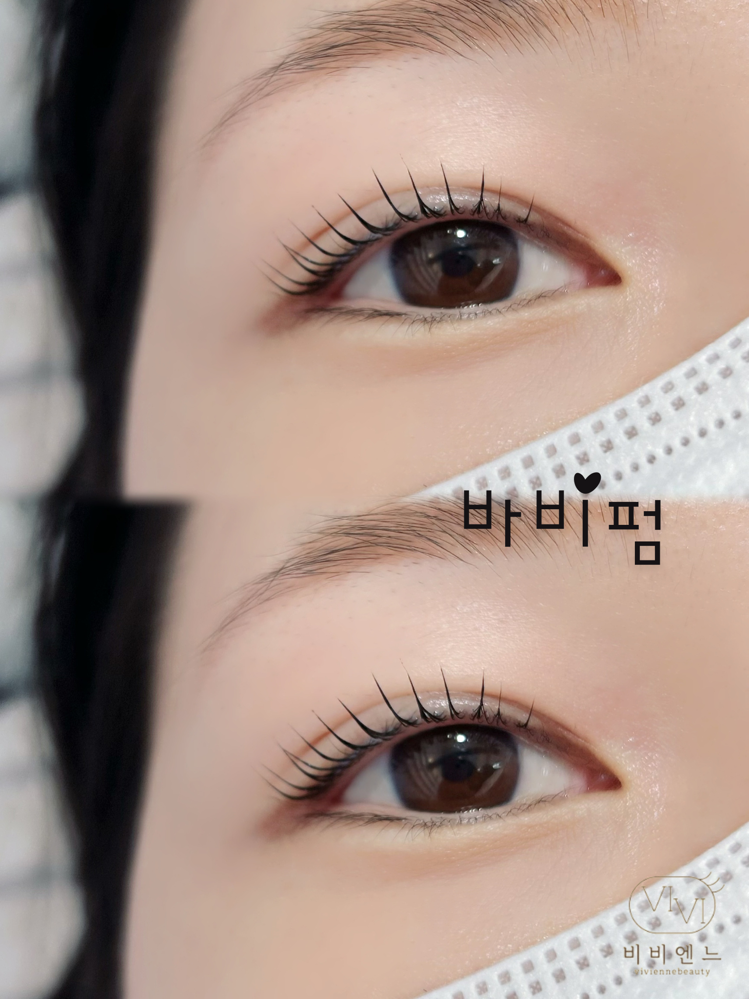 비비엔느