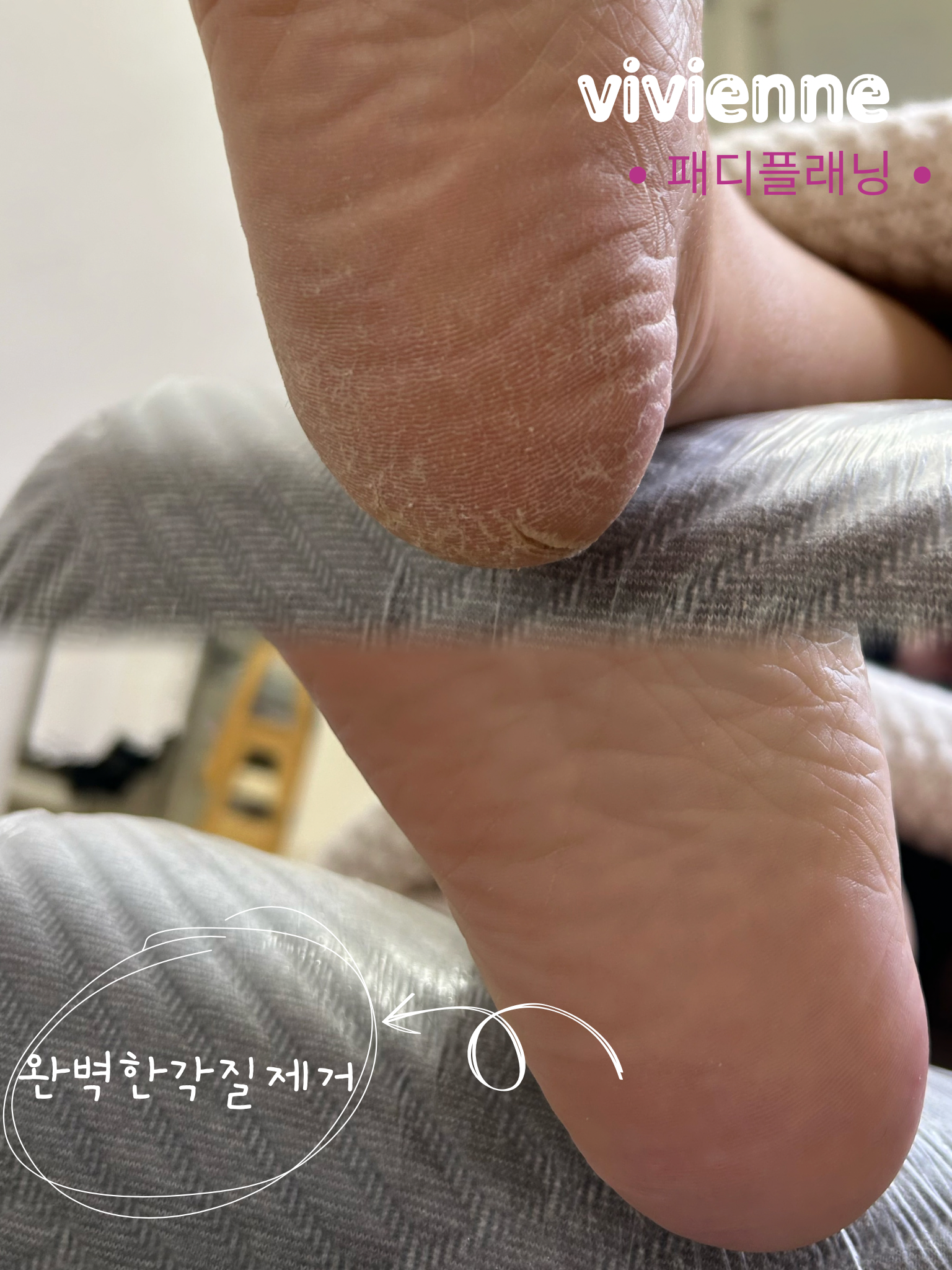 비비엔느