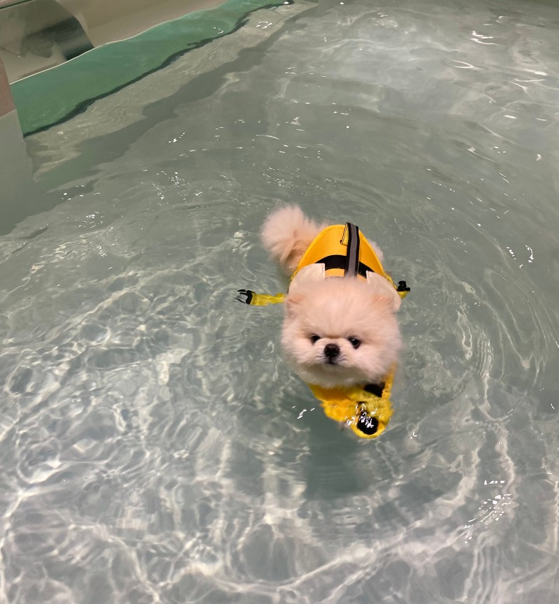 보타닉풀 대표 이미지