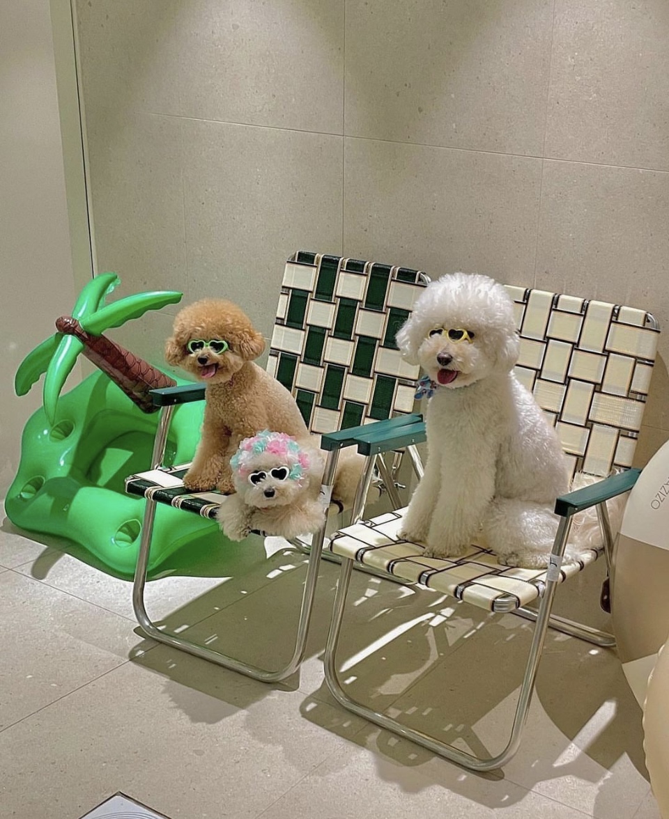보타닉풀 대표 이미지