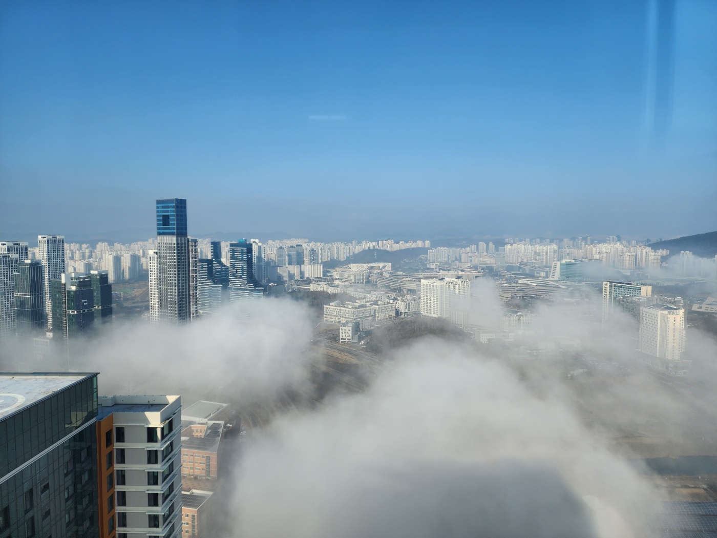 플레져 설명사진