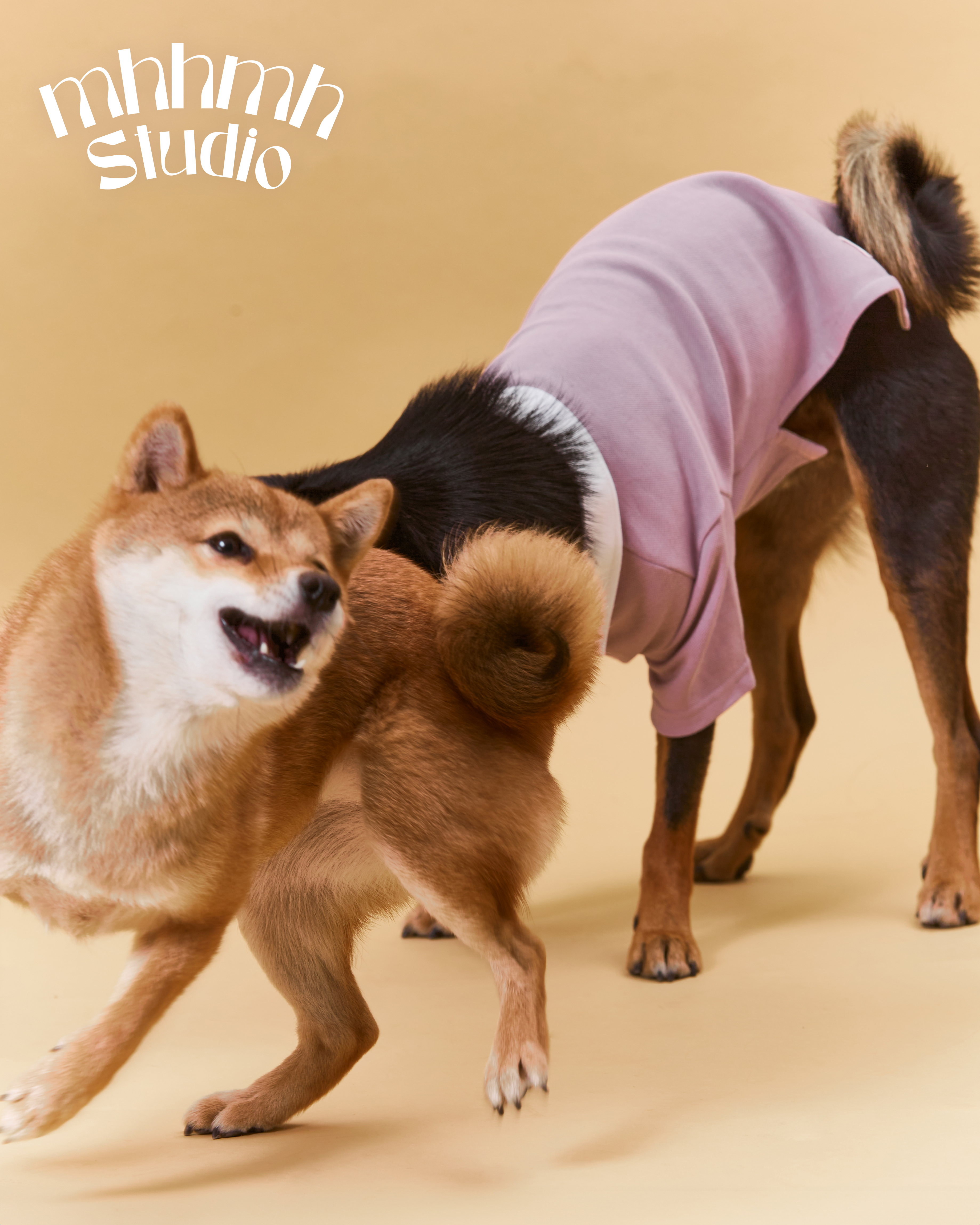 므므스튜디오