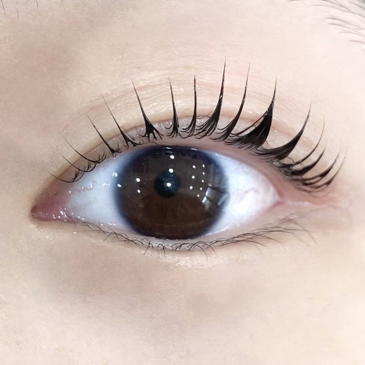 인디어 대표 이미지