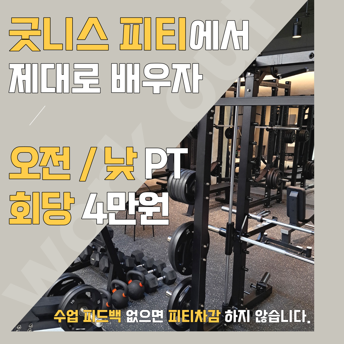 굿니스피티