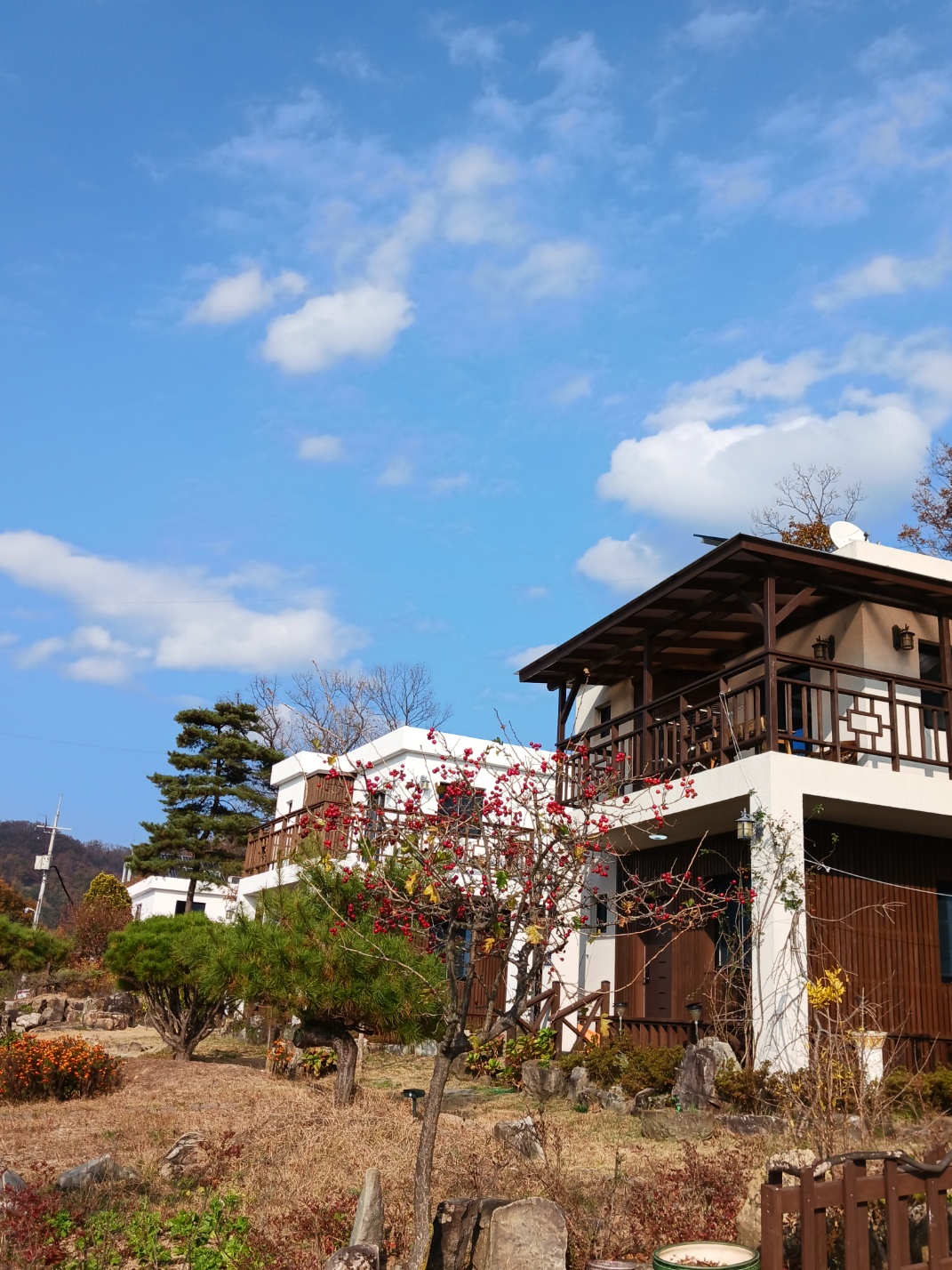 황학산비채숲펜션