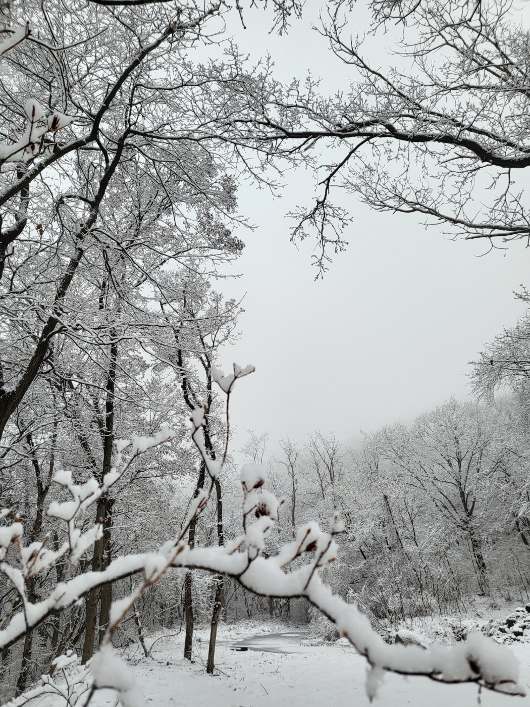 황학산비채숲펜션