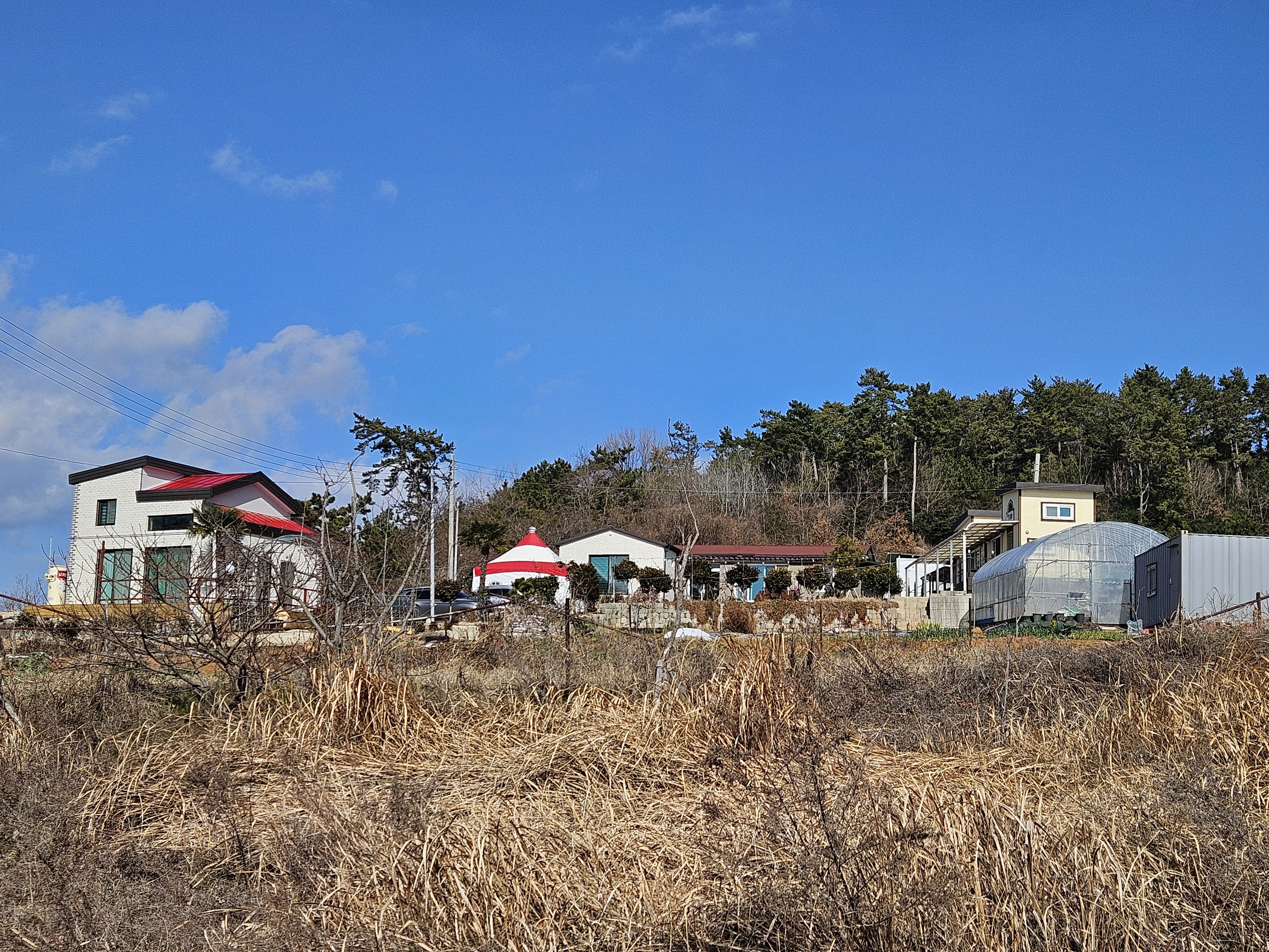 용현이네 7
