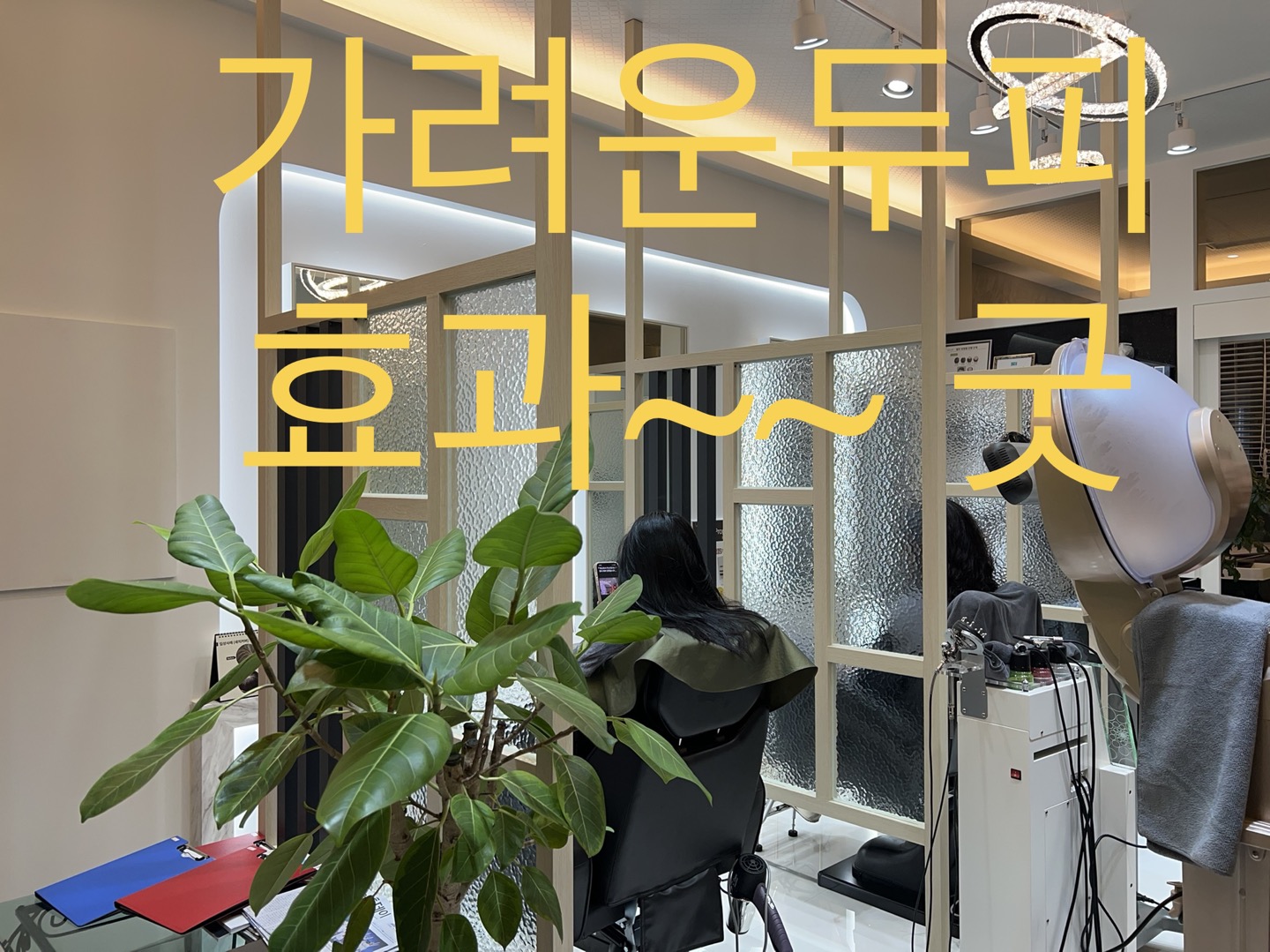 닥터스칼프 원주혁신점