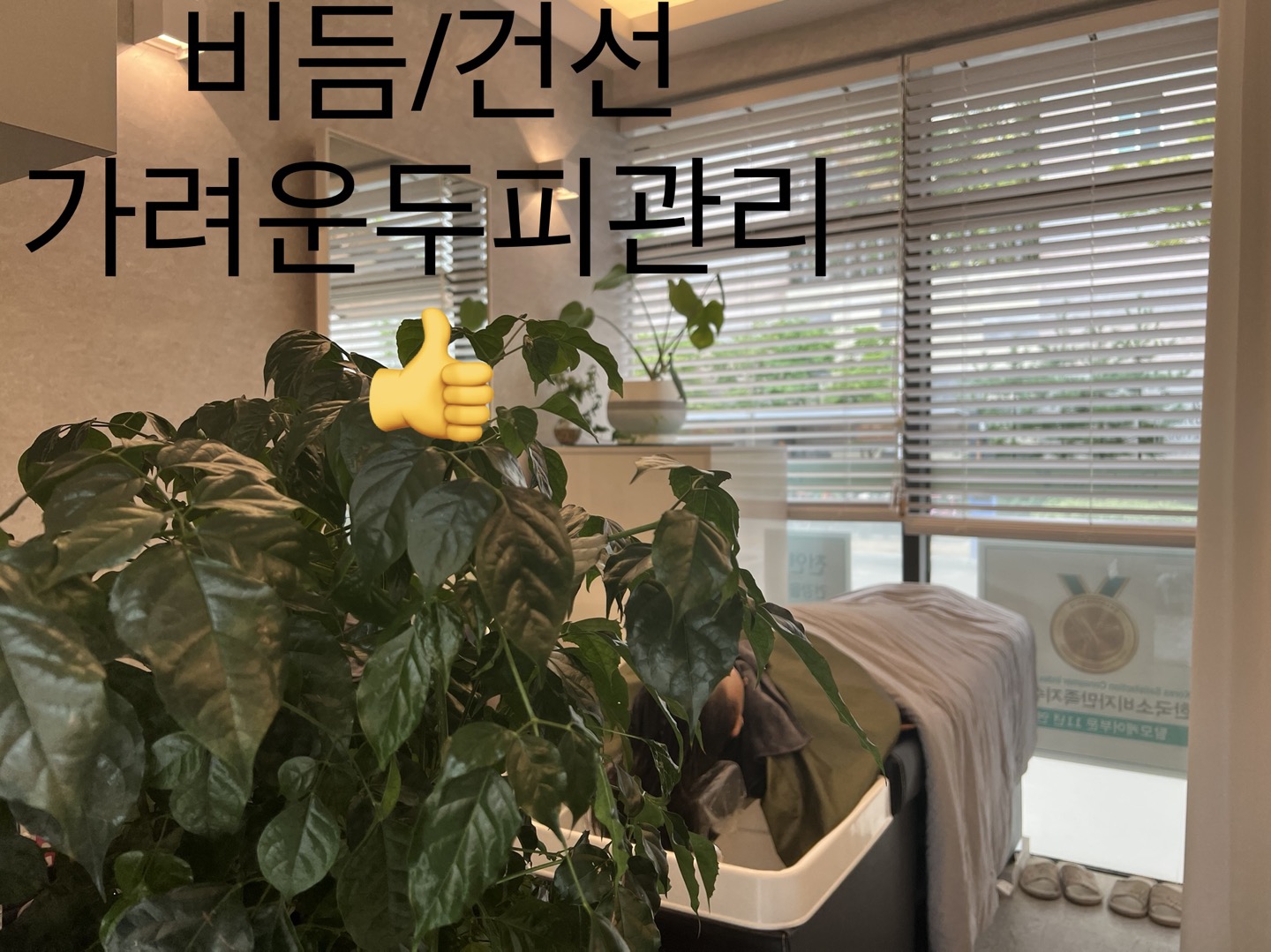 닥터스칼프 원주혁신점