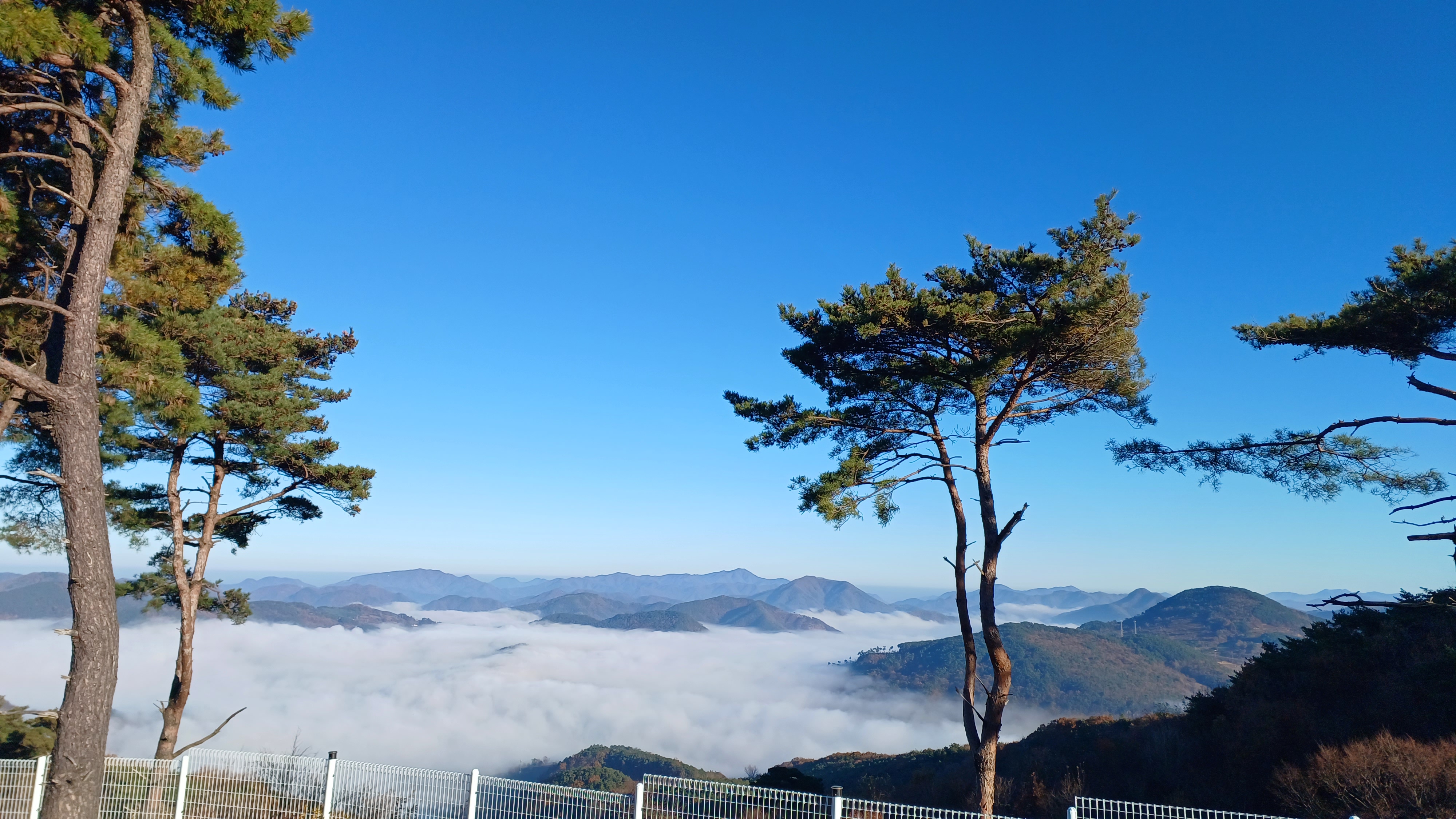 풍경소리캠핑장