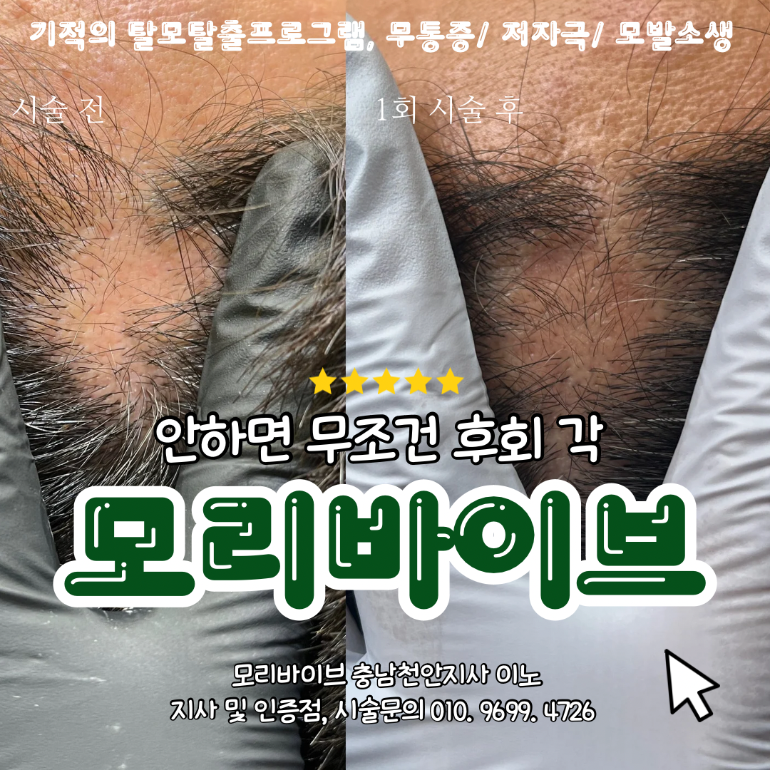 이노뷰티살롱x모리바이브 교육지사