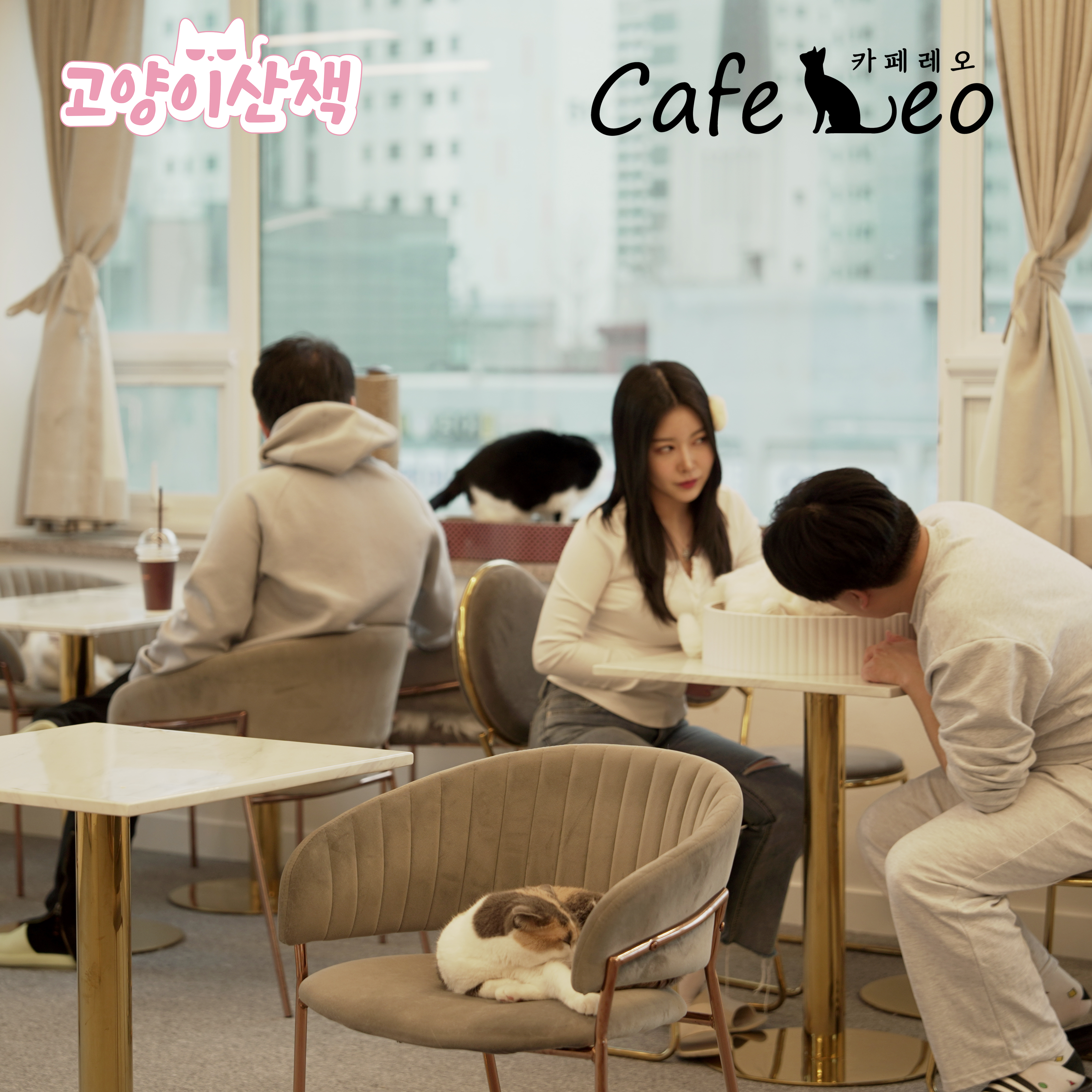 카페 레오