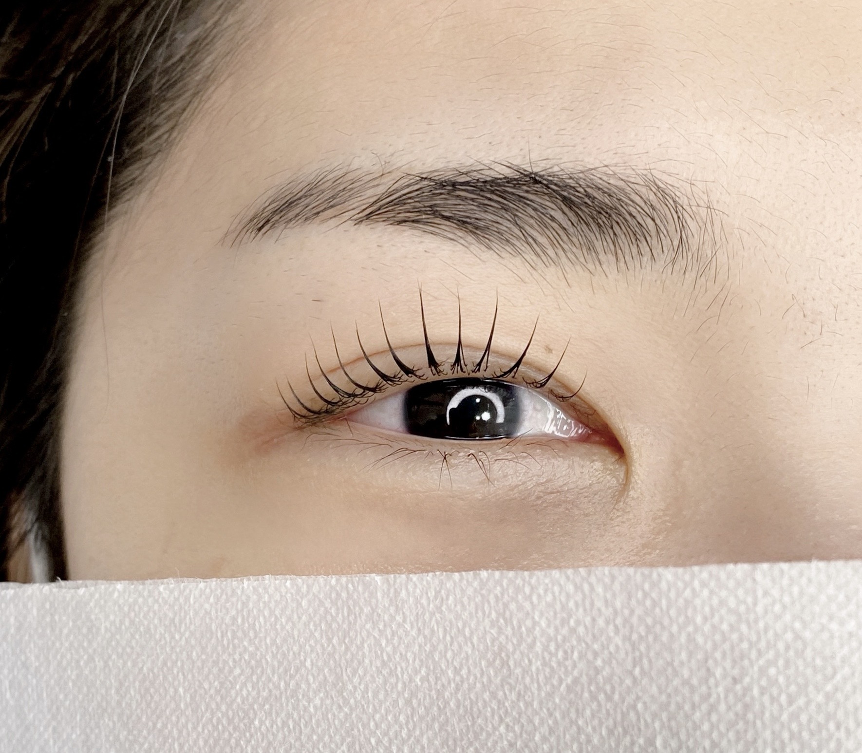 브로우더숨&눈썹 대표 이미지