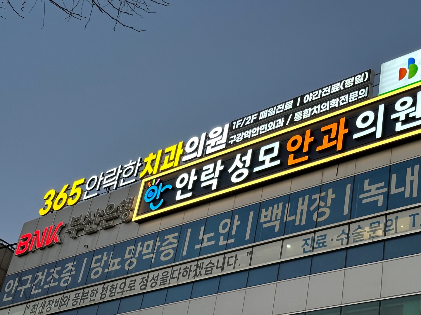 365안락한치과의원