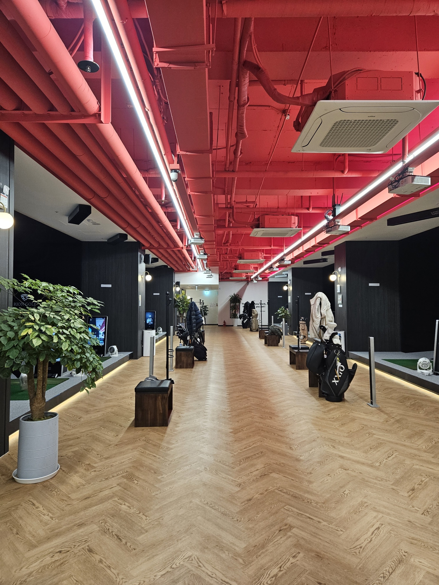 프렌즈스크린 리온 대표 이미지