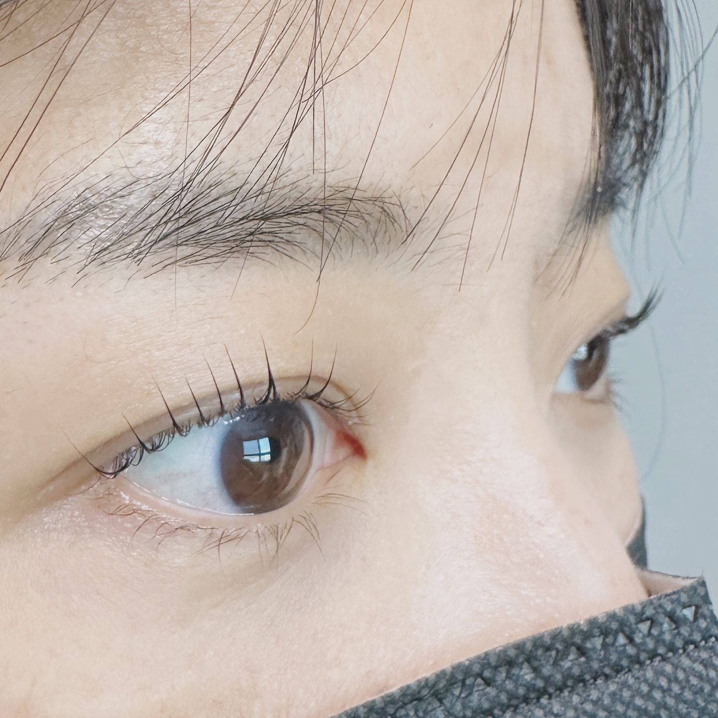 애쁨속눈썹