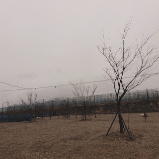 경안글로브