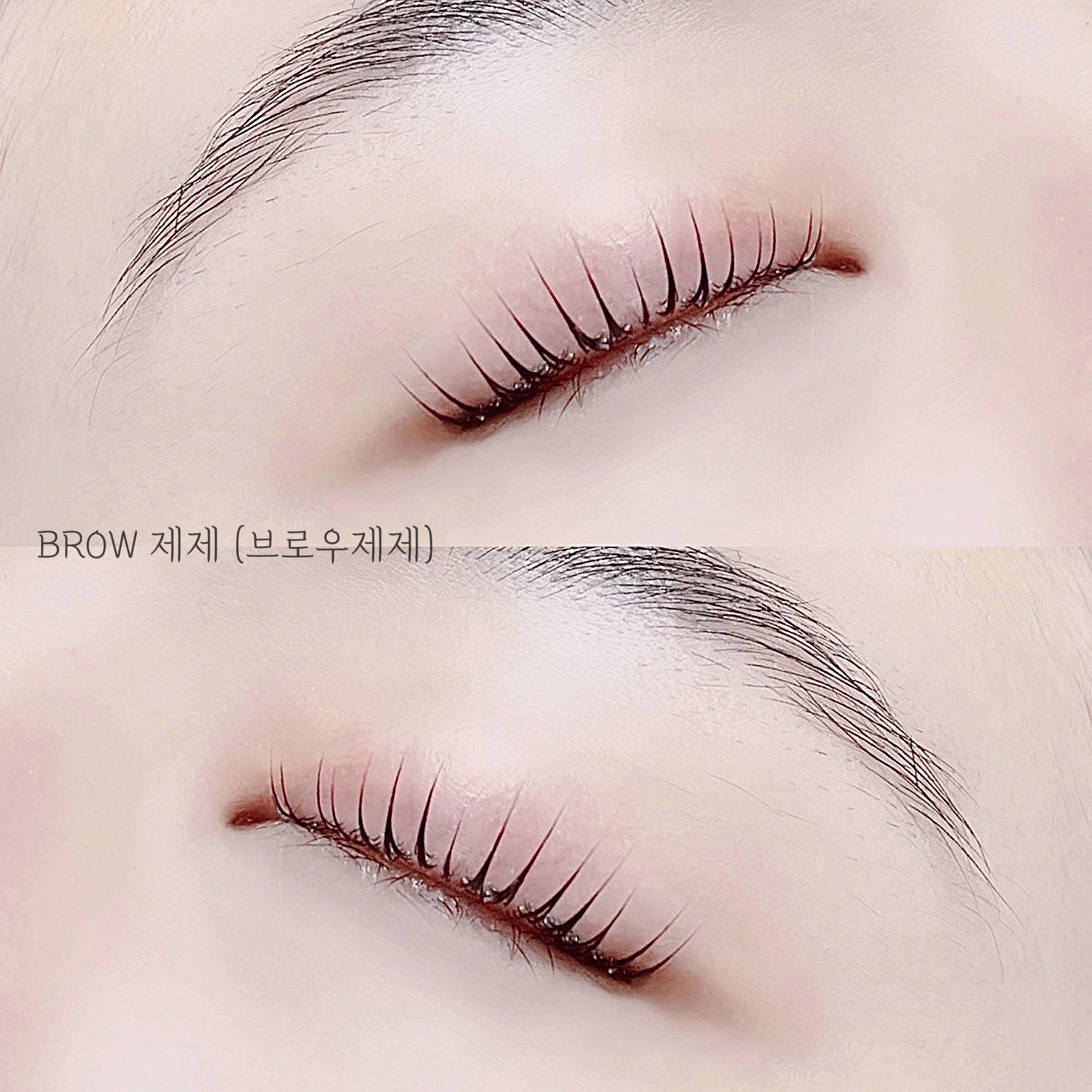 BROW 제제 [브로우제제]