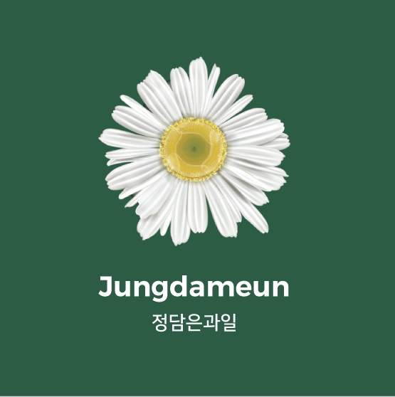 정담은과일