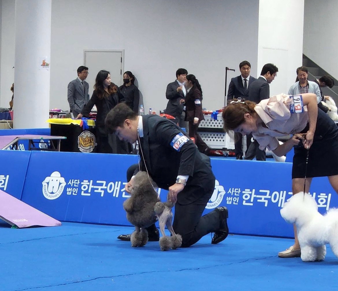 넥서스켄넬