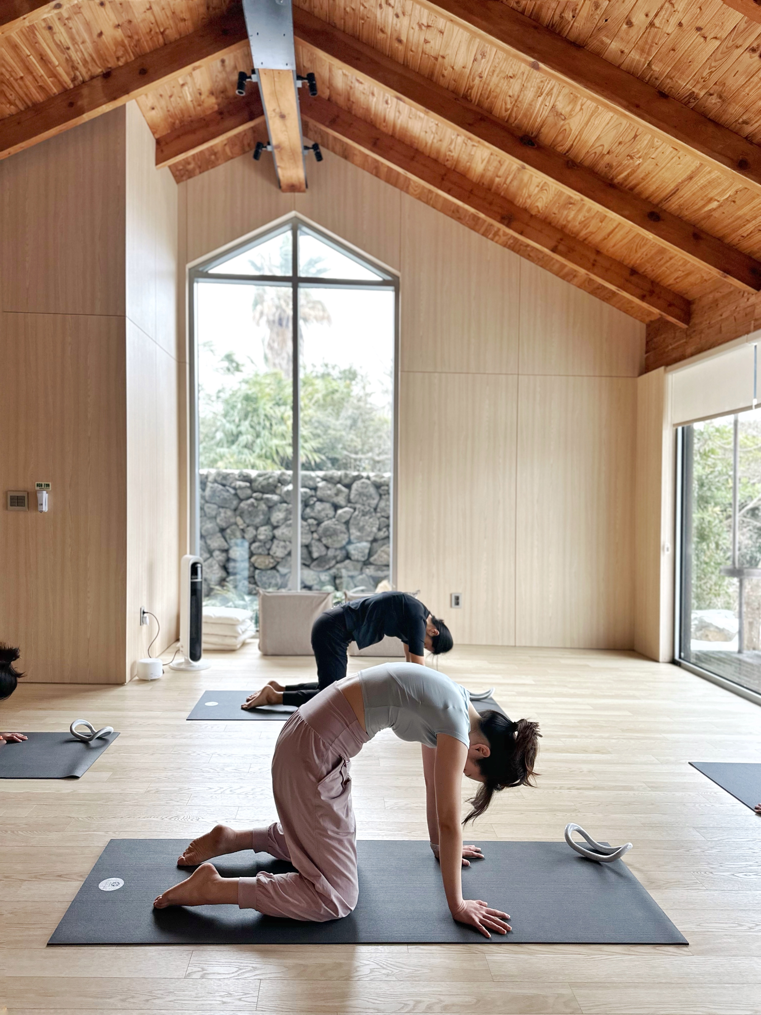 요가쿨라 제주 대표 이미지