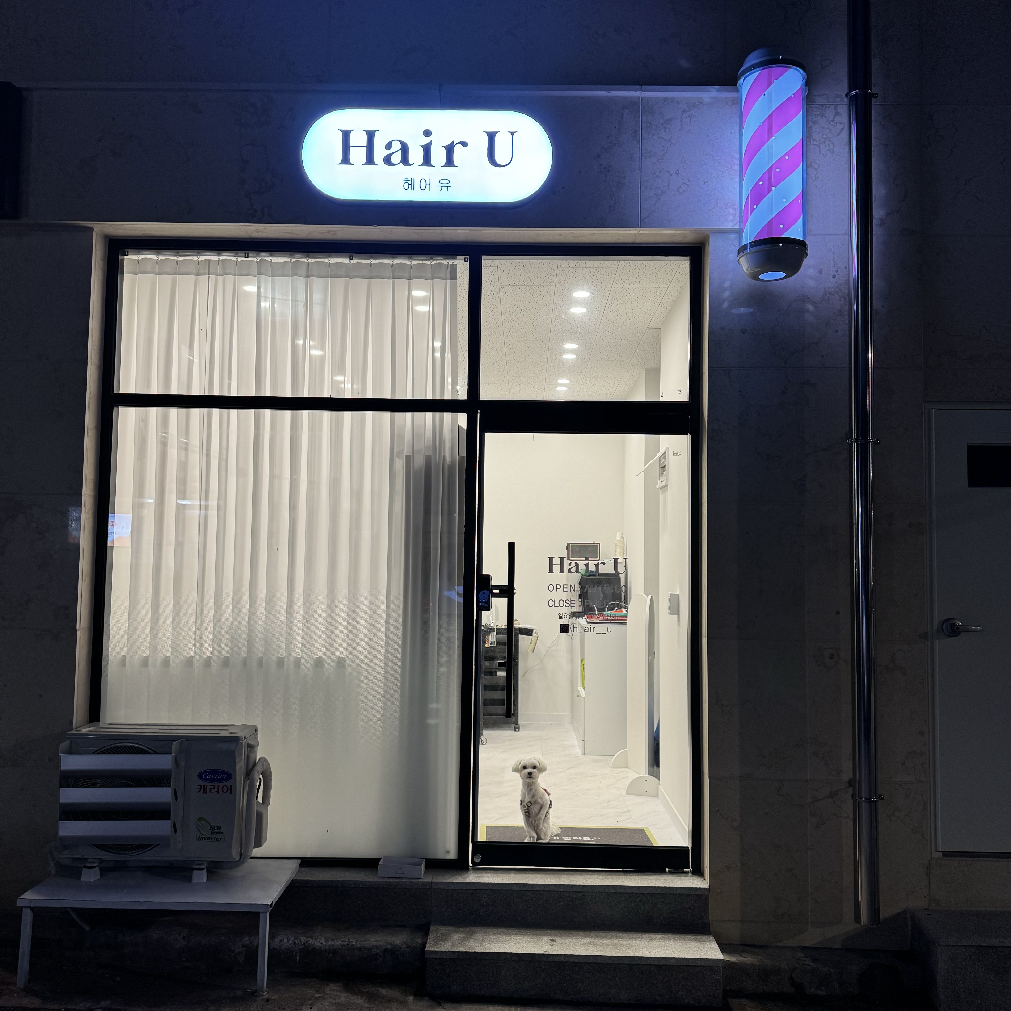 헤어유