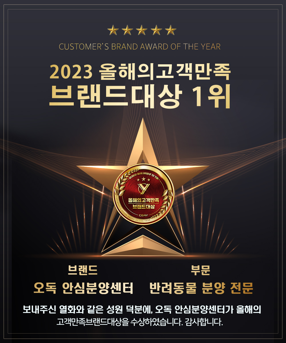 오독안심분양센터 강아지분양 고양이분양 인천점