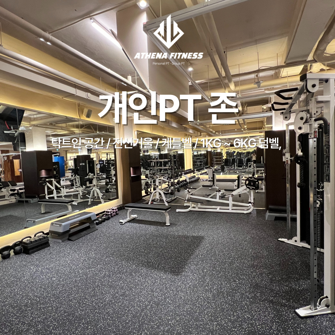 아테나휘트니스