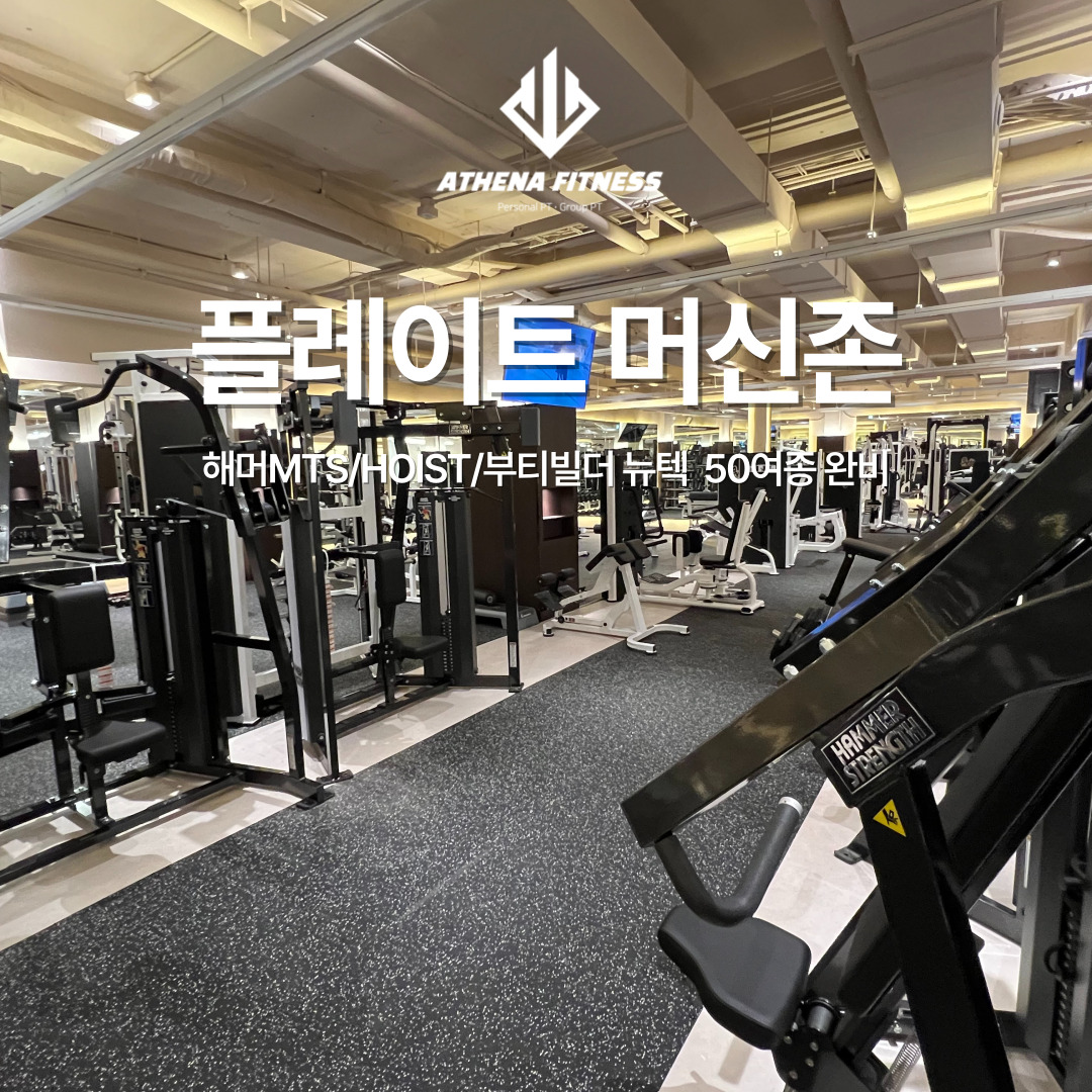 아테나휘트니스