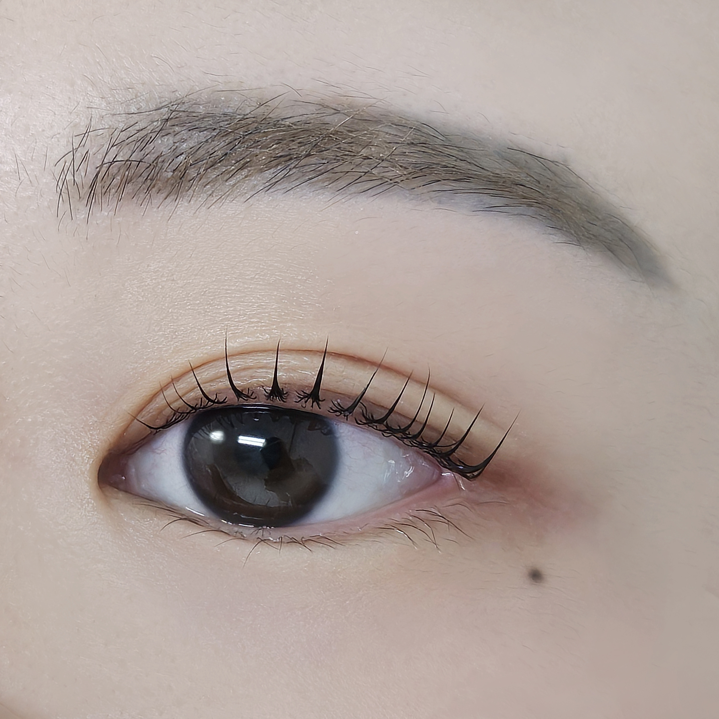 운트 대표 이미지