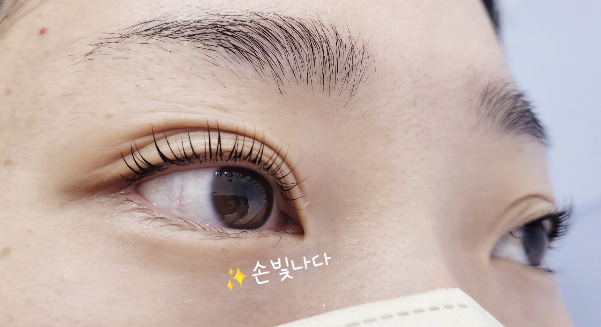 손빛나다