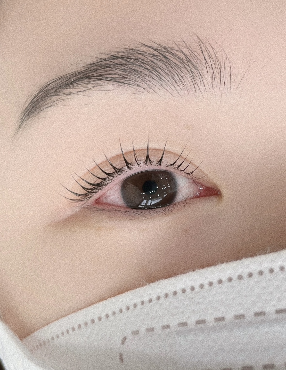 펄미에이트 구미눈썹&속눈썹펌