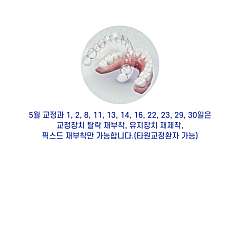 치아교정(프리올소/클리피씨/매직얼라인/메탈/세라믹) 대표사진