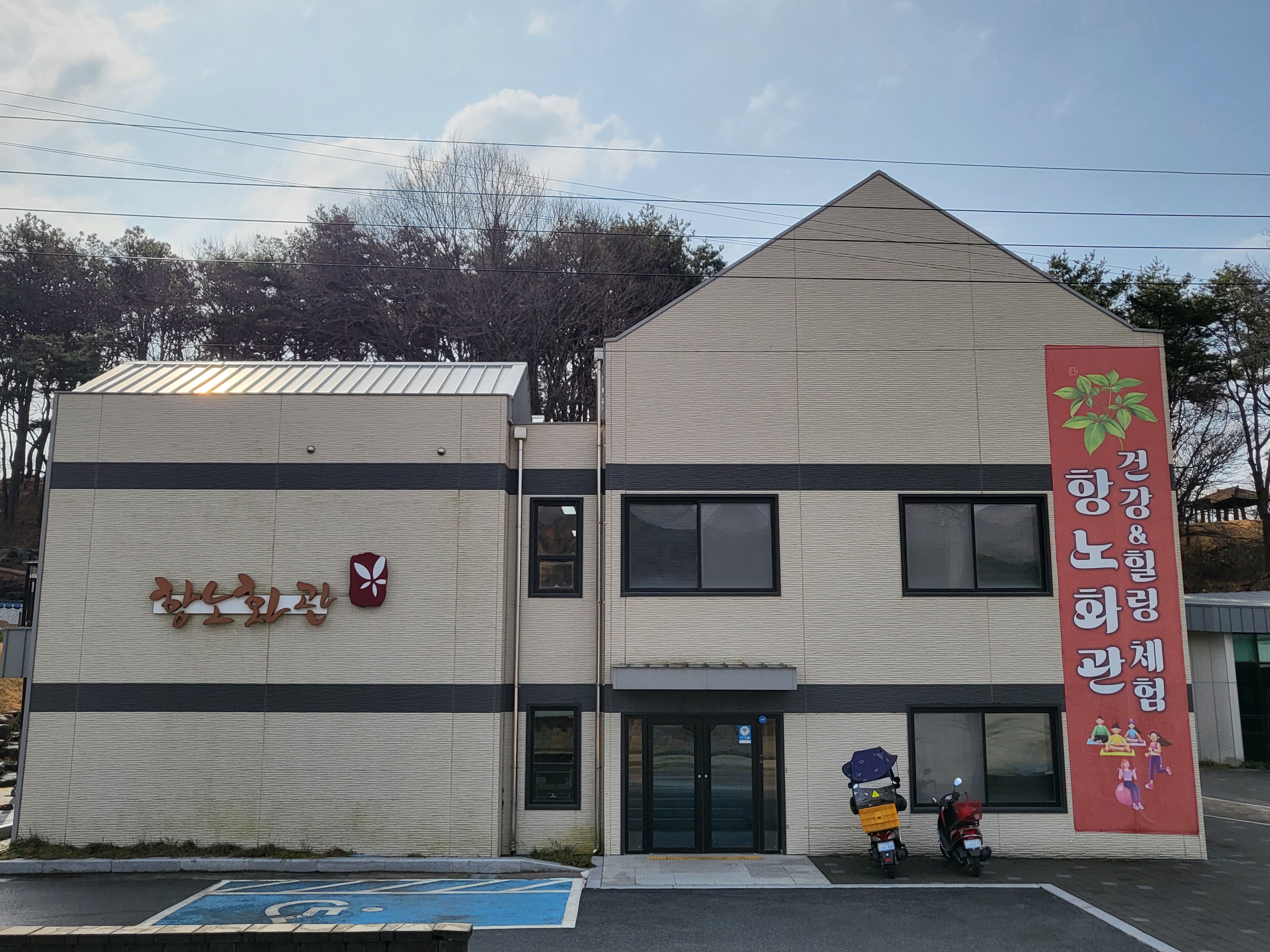 항노화관
