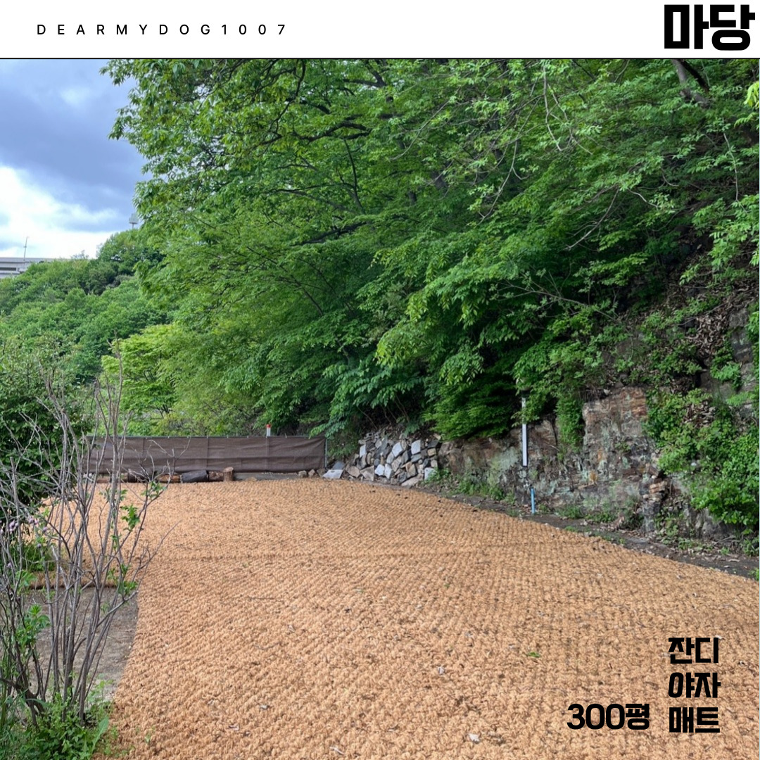 디어마이독1007