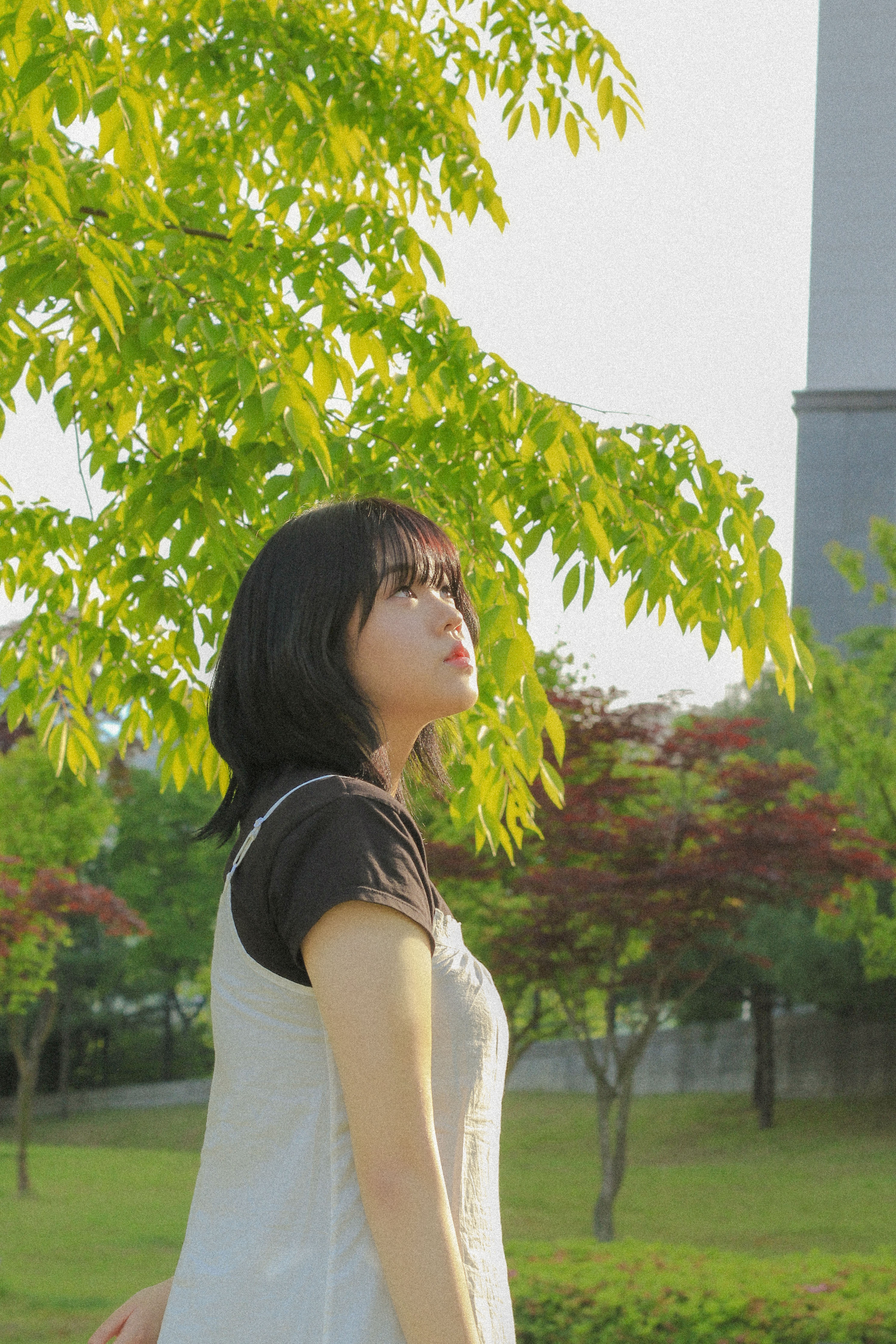 연월스냅 대표 이미지