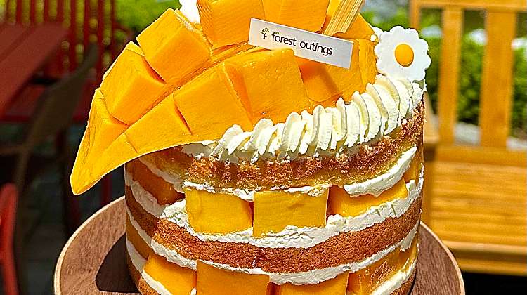 [송도점] 통망고 생크림 케이크 대표사진