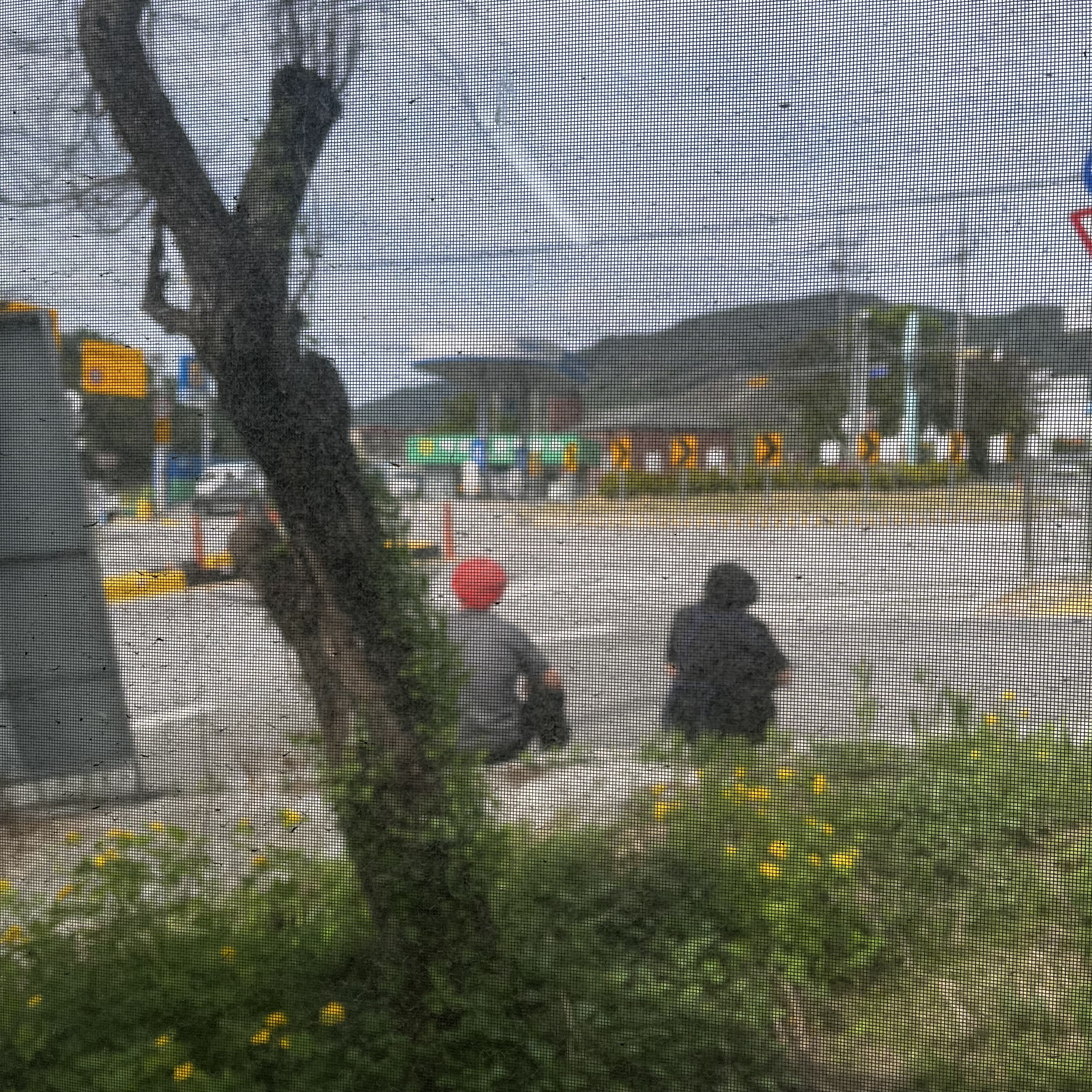 옹심이들깨메밀칼국수 대표 이미지