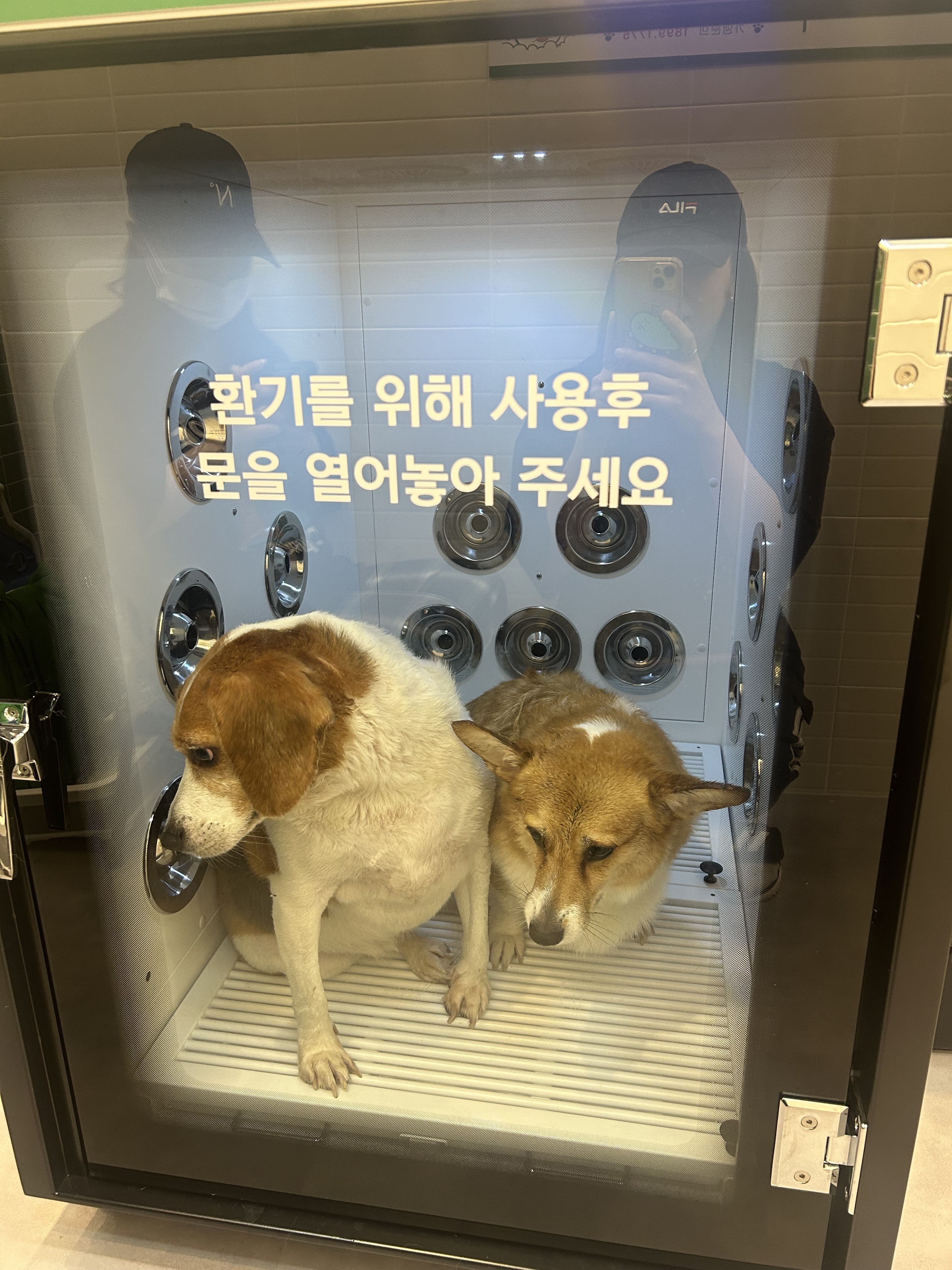버블독스 금천롯데캐슬점 대표 이미지