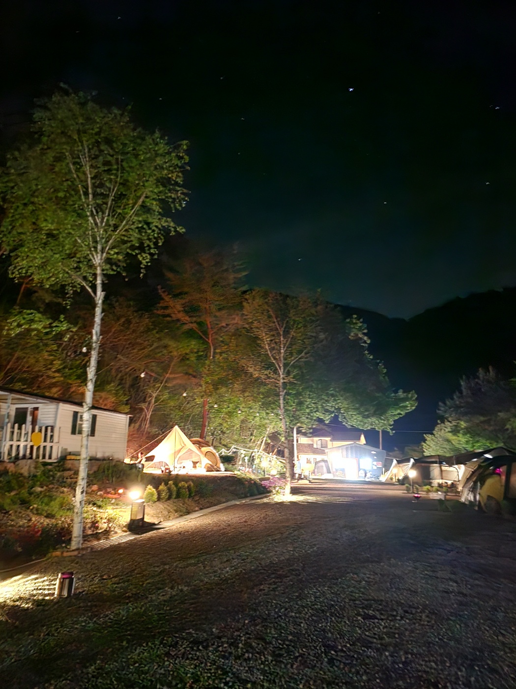 사진 2